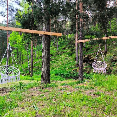 Vila Pogled Wellness I Spa Divčibare Eksteriør billede