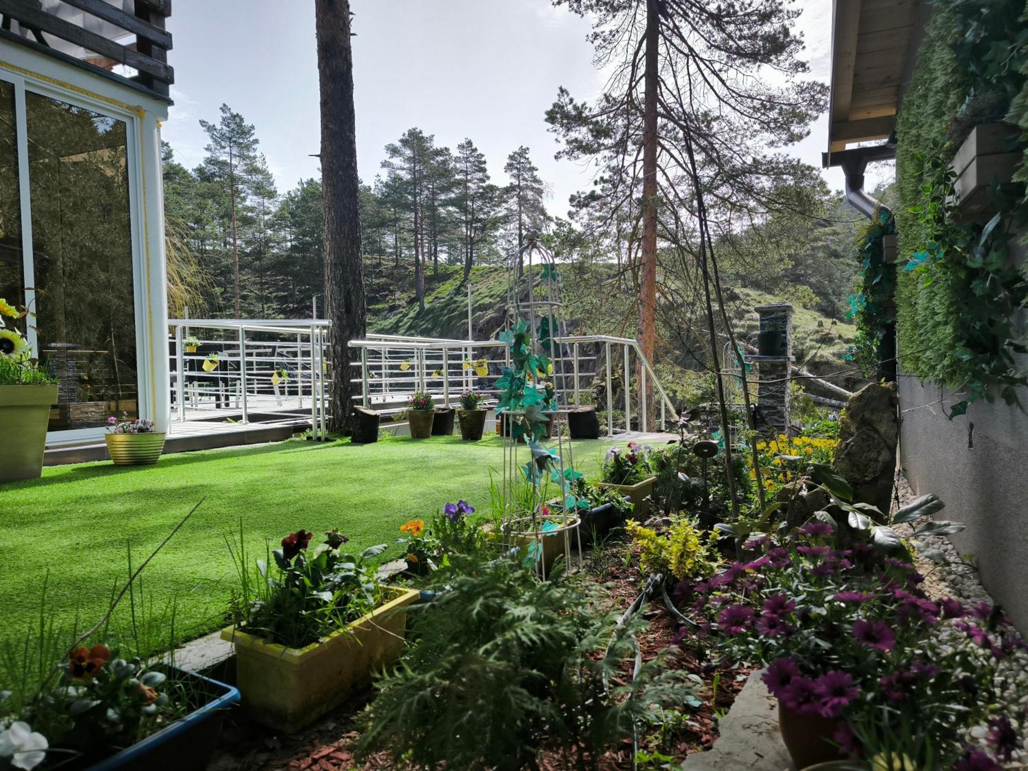 Vila Pogled Wellness I Spa Divčibare Eksteriør billede