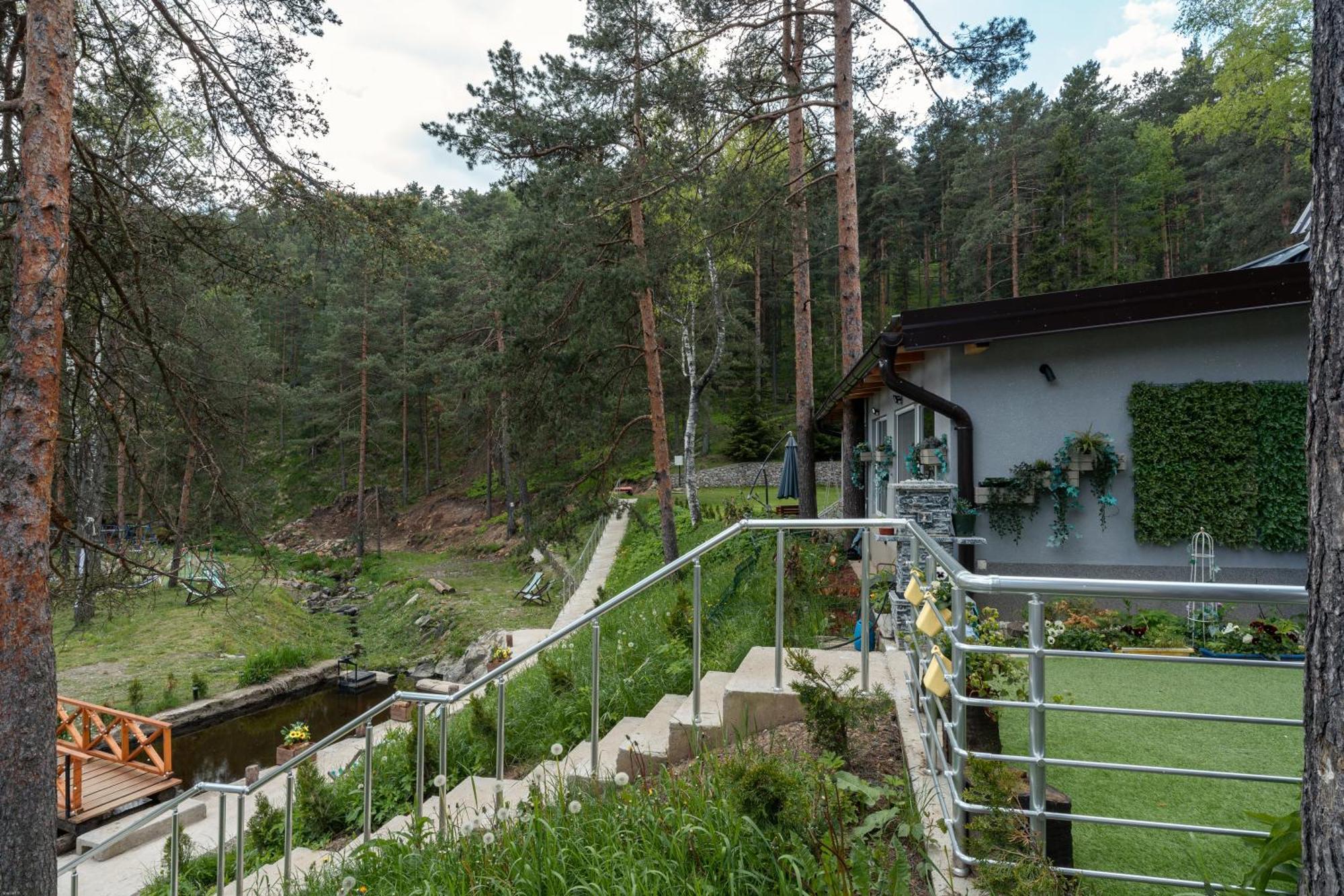 Vila Pogled Wellness I Spa Divčibare Eksteriør billede